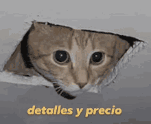 Detalles Precio GIF