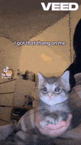 a woman is holding a kitten in her arms and says " veed "