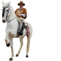 a man riding a white horse with a shadow of another man behind him