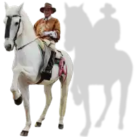 a man riding a white horse with a shadow of another man behind him