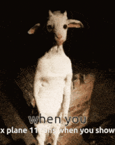Goat Standing GIF - Goat Standing When You GIFs