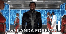 T Challa Black Panther GIF - T Challa Black Panther Wakanda Forever GIFs