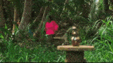 two women are running through a lush green forest