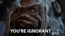 Youre Ignorant Uneducated GIF - Youre Ignorant Uneducated Stupid GIFs