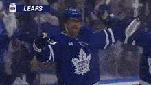 toronto maple leafs hockey players celebrate a goal with their fans