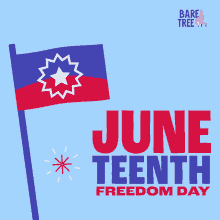 Juneteenth Freedom Day GIF - Juneteenth Freedom Day African American History GIFs