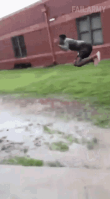 Dive In Jump In GIF - Dive In Jump In Puddle GIFs