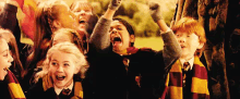 When Gryffindor Is Winning GIF - GIFs