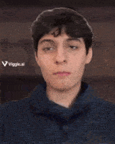 a close up of a person 's face with the words viggle.ai on the bottom right