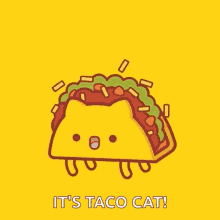 Taco Tuesday Taco GIF - Taco Tuesday Taco Cat GIFs