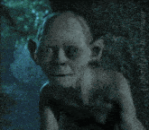 a picture of gollum from the lord of the rings with the caption master looks after us now