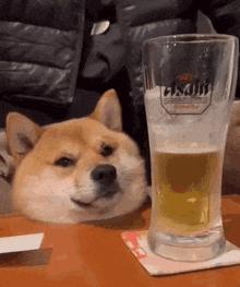 GIF