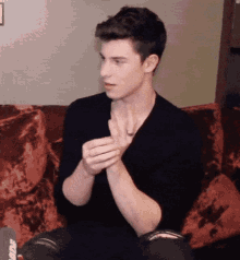 Shawn Mendes Gay Expressing Stan Twitter GIF - Shawn Mendes Gay Expressing Stan Twitter Reaction Gif GIFs