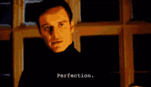 Perfection GIF - Perfection GIFs