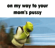 Your Mom Shrek GIF - Your Mom Shrek Running GIFs
