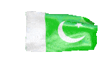 Pakistan Flag Sticker - Pakistan Flag Stickers