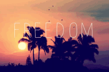 Freedom GIF - Freedom GIFs