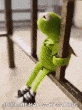 kermit the frog is sitting on a railing holding onto a railing and waiting .
