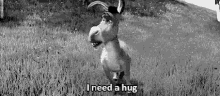 Hug Donkey GIF
