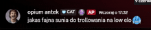 a screenshot of a chat with opium antek cat ap and wieczoraj o 17:32