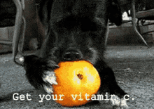 Get Your Vitamin C GIF - Vitamin C Get Your Vitamin C Orange GIFs