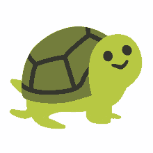 turtle animal