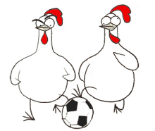 chicken chicken bro football soccer foul