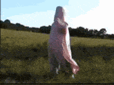 a person in a pink blanket is walking in a field .
