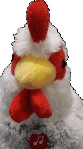 Chicken Kogosh Sticker - Chicken Kogosh Cluck Stickers