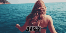 дикая девушка ныряет в океан GIF - Wild Girl Diving GIFs