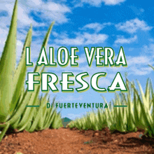 an advertisement for aloe vera fresca shows a field of plants