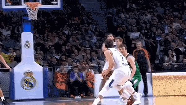 Luka Doncic Game Winner GIF - Luka Doncic Game Winner Shoot - Discover &  Share GIFs