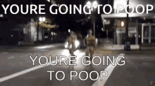 Youre Going To Poop GIF - Youre Going To Poop GIFs