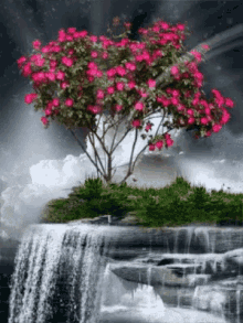 Waterfall Tree GIF - Waterfall Tree GIFs