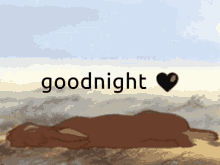 Goodnight Dies GIF - Goodnight Dies Watership Down GIFs