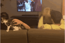 a man petting a cat on a couch while watching a basketball game on a spalding tv
