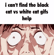 Black Cat Vs White Cat Desolate Cat GIF
