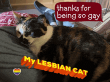 a calico cat laying on a person 's lap with a speech bubble that says thanks for being so gay