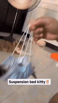 Suspension Bed Kitty Morning GIF - Suspension Bed Kitty Morning Cat GIFs
