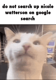 Do Not Search Up Nicole Watterson On Google Search Worst Mistake Of My Life GIF - Do Not Search Up Nicole Watterson On Google Search Worst Mistake Of My Life GIFs