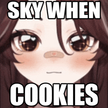 Skyaboveme Cookies GIF - Skyaboveme Cookies Skywhencookies GIFs