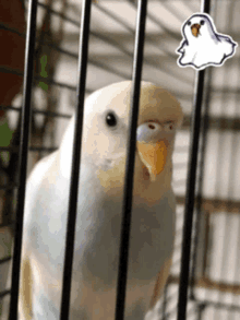 a bird in a cage with a picture of a ghost on it