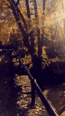 Fall Central GIF - Fall Central Park GIFs