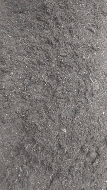 Fuck Plant GIF - Fuck Plant Grow GIFs