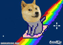 nyan cat nyan rainbow doge meme faces