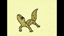 Dancing Gecko GIF