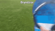 Bryndziar Meme GIF - Bryndziar Meme Shiba Pirates GIFs