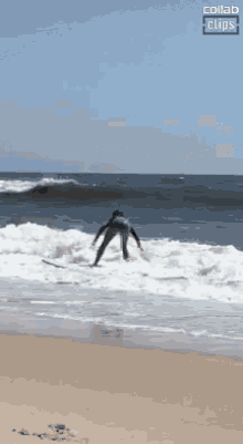 Surfing Fail Slipped GIF