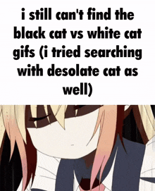 Black Cat Vs White Cat Gifs GIF