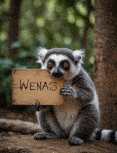 Lemur Vash GIF